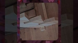 1000055720.mp4 (Собака наблюдает за устройством лестницы на 2-ой этаж в доме А-фрейм)