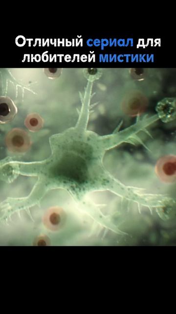 Неизведанный вирус которые превращает все в дерево