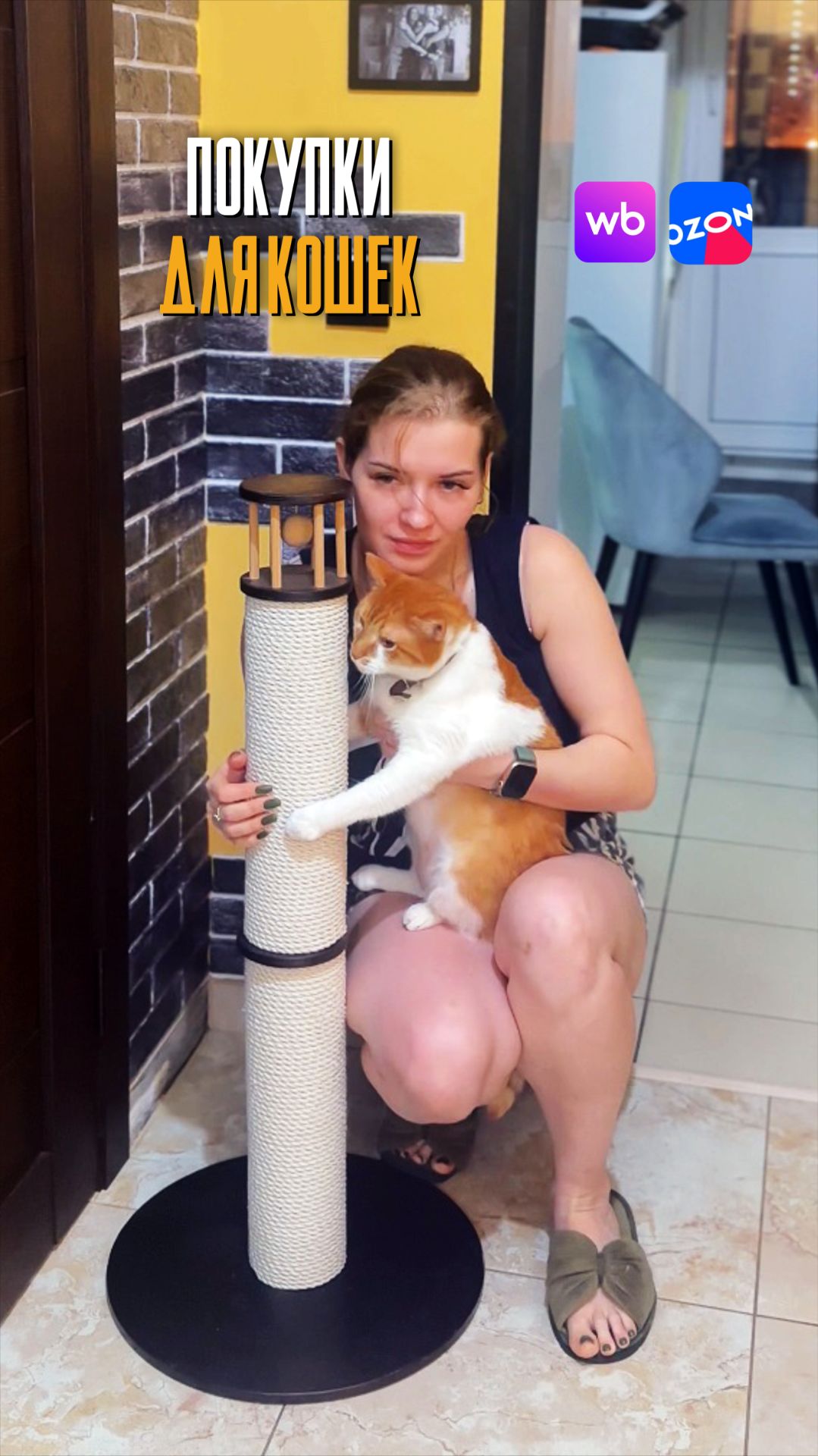 Покупки котам