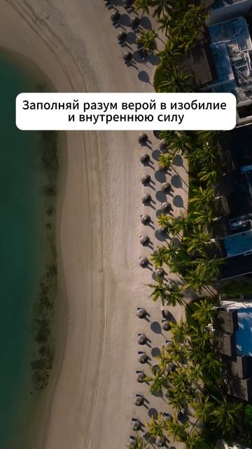 Каков настрой – таков и результат 👇 #мотивация #заработок #деньги #успех #бизнес #здоровье