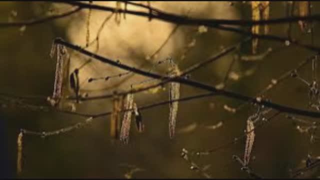 12 апреля - Иван Лествичник. Традиции и приметы