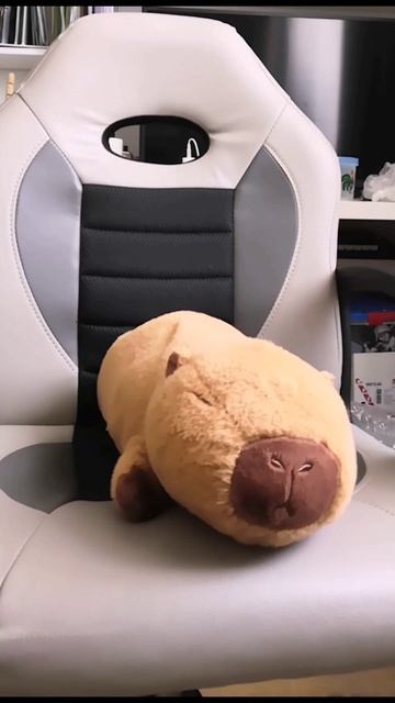 Интервью у Капибара