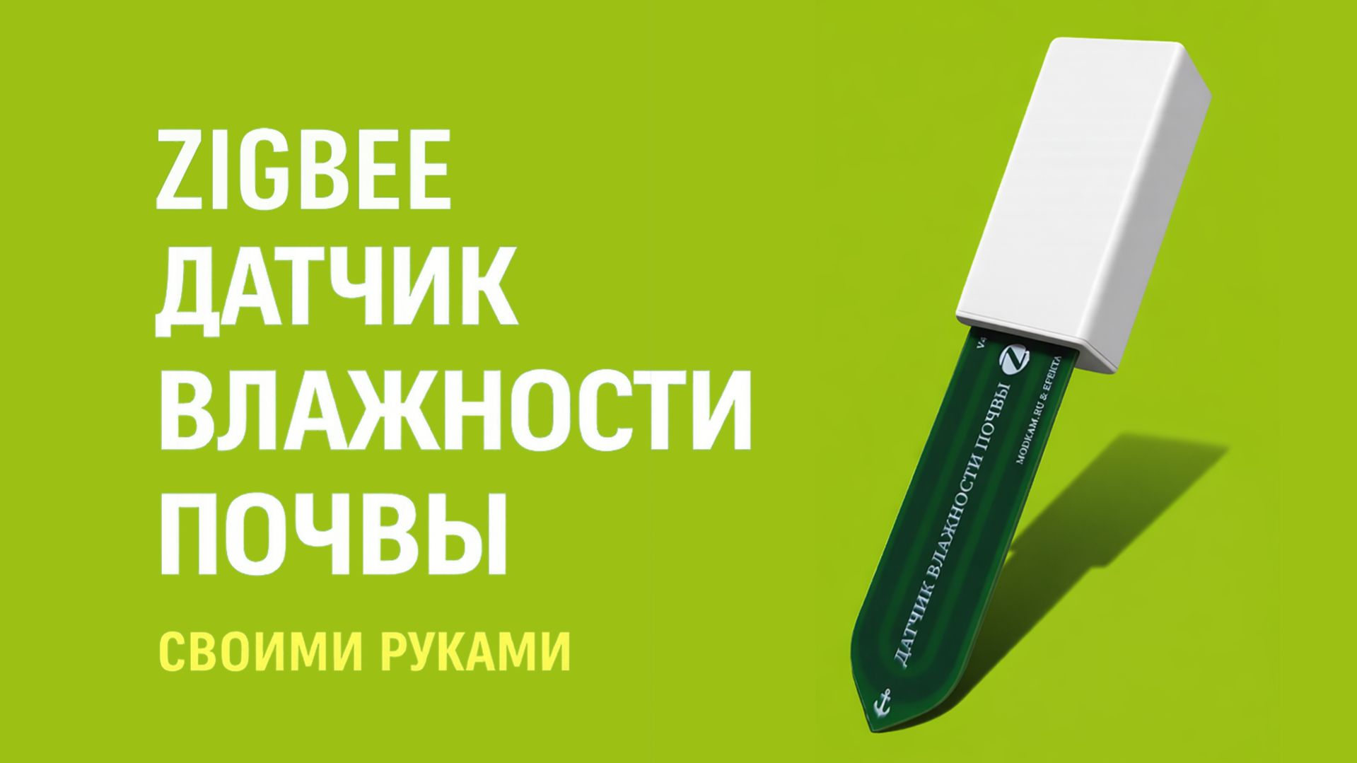 EFEKTA MODKAM Flower