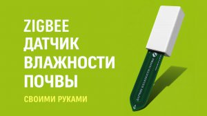 EFEKTA MODKAM Flower