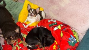 Доброго всем вечера и самой спокойной ночи.