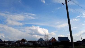 Прогулка по лугу рядом с речкой. 11-04-2026