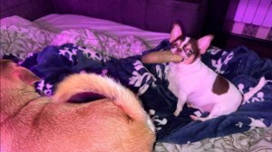 Доброго всем, праздничного утречка!