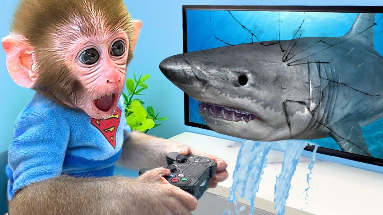 🐵Обезьянка играет на консоли🎮и из игры выпрыгивает акула!🦈