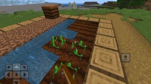 Майнкрафт, когда... #24 МАКСИМАЛЬНО БЫСТРАЯ ПОСАДКА КАРТОШКИ НА ГРЯДУ