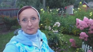 Видео привет с 6 соток из 26 августа 2021 год