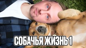 Зубарев смотрит «Собачья жизнь»