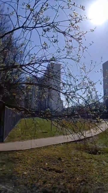 деревья в Москве , найдете ошибку