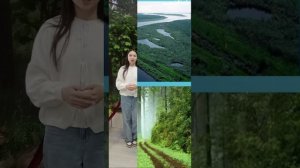 Фильм о музее Валерии Симоненко