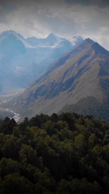 Четыре вещи, которые никогда не возвращаются обратно