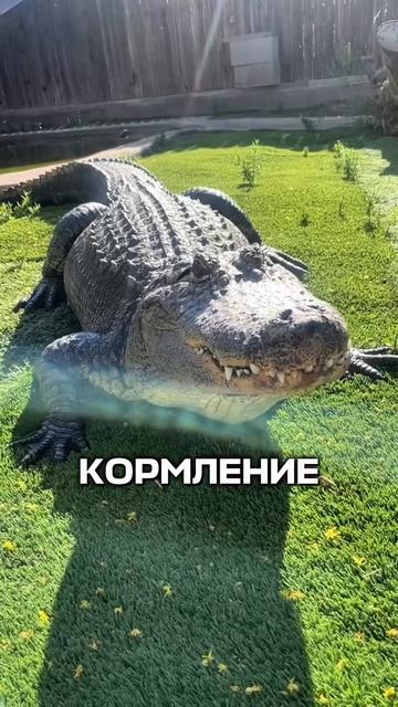 Первый раз на Пхукете. Запоминайте 👇🏼