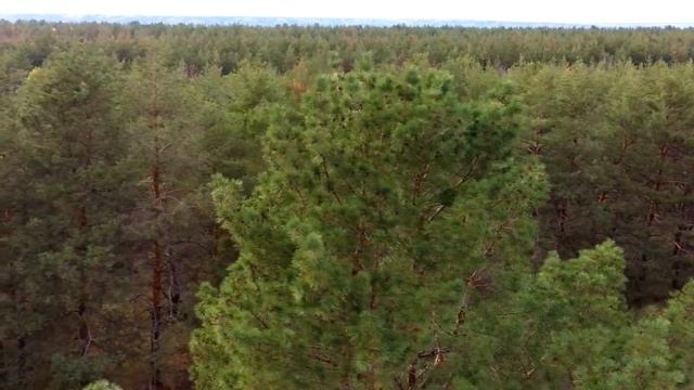 РАБОТАЕТ АРТА ПО БУЛАКАСУ