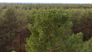 РАБОТАЕТ АРТА ПО БУЛАКАСУ