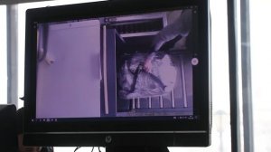 Суть профессии. Инспектор по транспортной безопасности