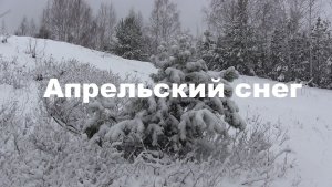 Апрельский снег