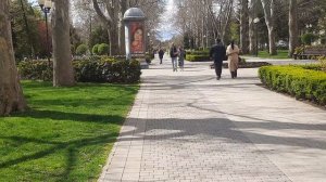 Краснодар.парад тюльпанов