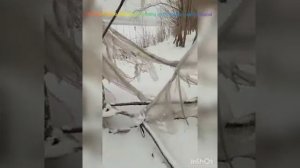 строим баню на природе начало и конец что с ней случилось за 7 месяцев