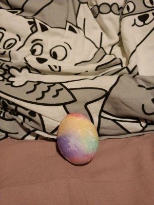 Прости мистер кот