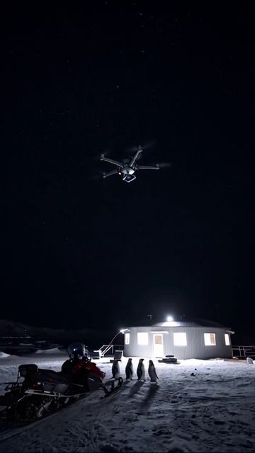 Пингвины под светом звезд: дрон в антарктической ночи дроны пингвины антарктида