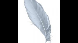 Ваше/ наше || Коты- Воители