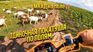 Одиночная покатушка по полям.МКАД на поле!?