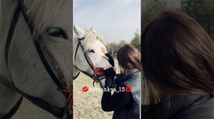 цыганская песня🖤