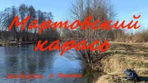 Мартовский карась. 30.03.2026.  река Пехорка. п. Томилино.  п. Красково. Рыбалка в Подмосковье.