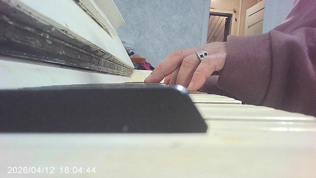 Пианино: народная "Во саду ли в огороде"