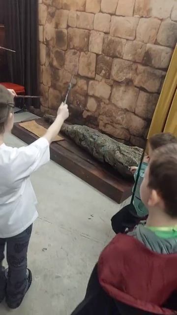 платон и демид на выставке гарри поттера #першинплатон