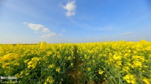 Dmitry Glushkov - Come Back