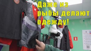 В ЛЕС ЗА КОТИКАМИ /ОТЛИЧНЫЙ РЫБНЫЙ МАГАЗИН/ 01 апреля 2026