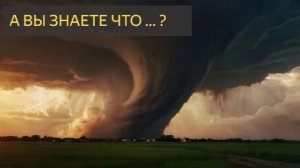 А вы знаете, что ....? (Видео 6)