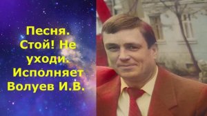 1492.3.В.Ю. ВИДЕО. Песня. Стой! Не уходи.. Исполняет Волуев И.В.