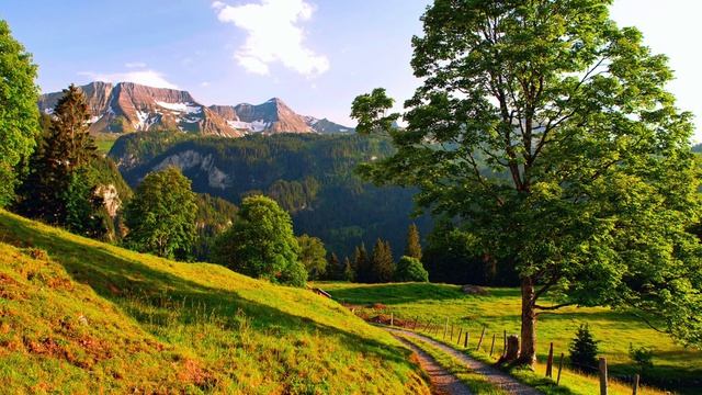 Люди не умеют любить себя и других