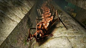 Idols Of Ash — Полное прохождение на уровне КОШМАР (Nightmare Mode) | Финал от @RukZGamer