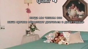 факт 4
