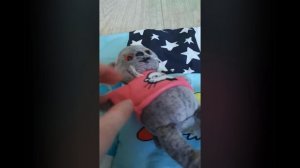 Басик и Лили//перезалив с ютуба//07.04.2023