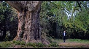 МОЛЧАЛИВЫЙ ДРУГ Трейлер