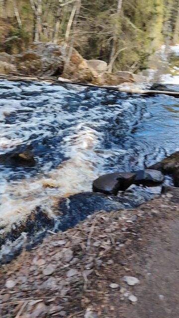 Белые мосты