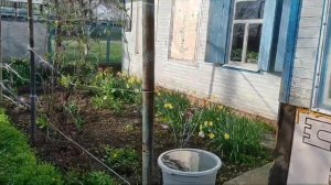 Выровнял пол. Сетка от грызунов