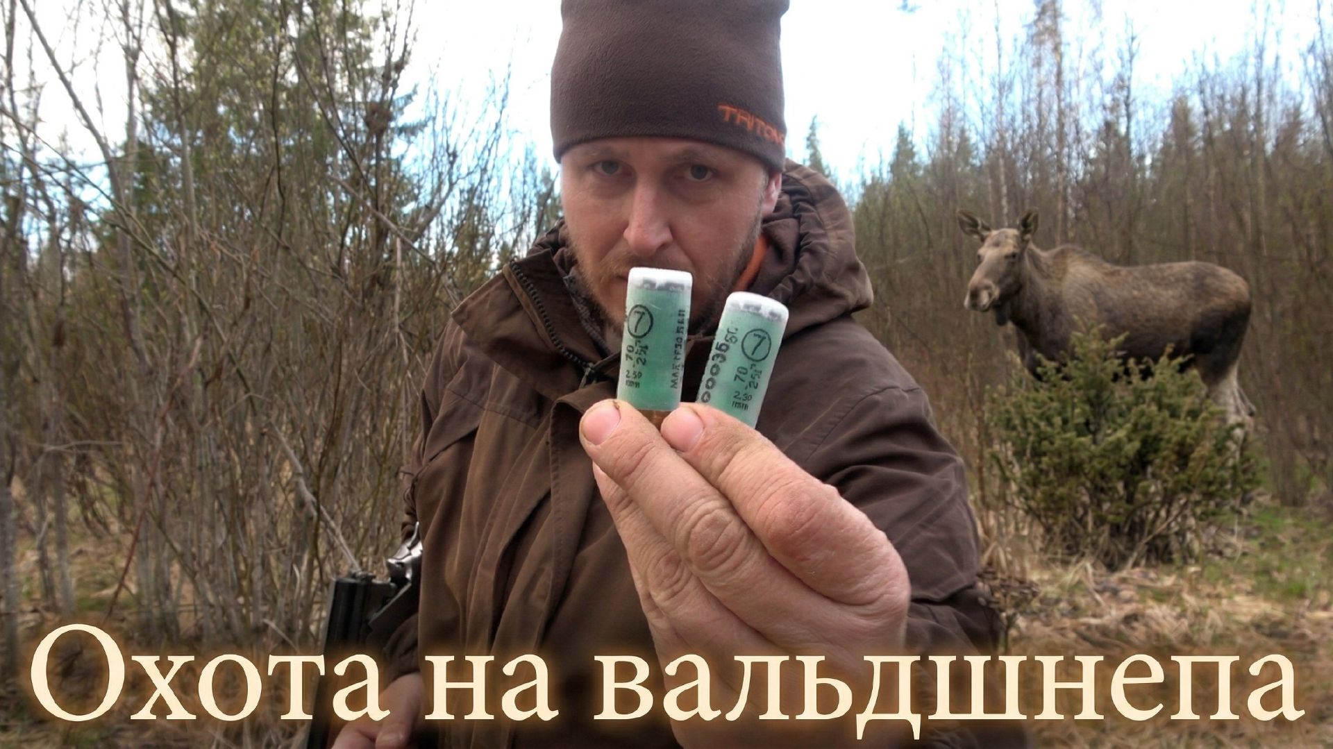 Охота на вальдшнепа #20 | Знакомая поляна | Полнолуние