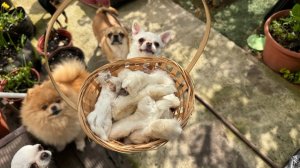 Малыши подарку очень обрадовались и еще раз большое спасибо!