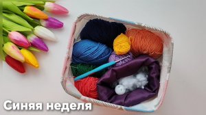 Старт - развивающая игрушка. СП "Радуга 5" Синяя неделя. Вязание