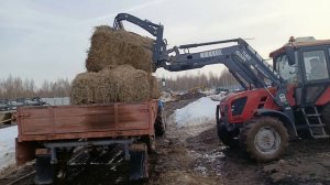 Охота на Кабана