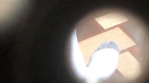 Обзор ноги телескопа