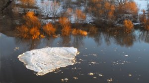 ВЫСТАВКА  МАРТА